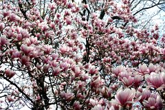 photo 0033